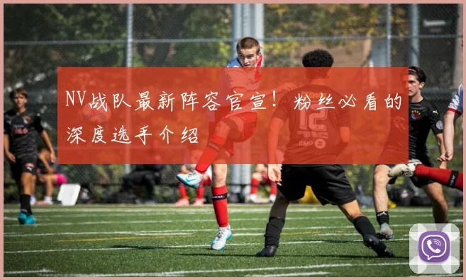 NV战队最新阵容官宣！粉丝必看的深度选手介绍