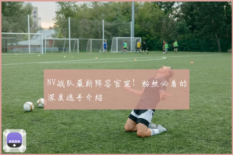 NV战队最新阵容官宣！粉丝必看的深度选手介绍