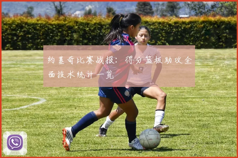 约基奇比赛战报：得分篮板助攻全面技术统计一览