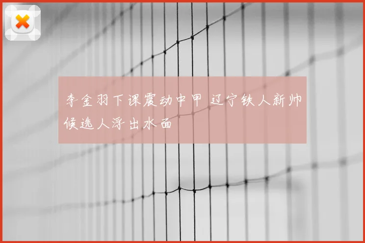 李金羽下课震动中甲 辽宁铁人新帅候选人浮出水面