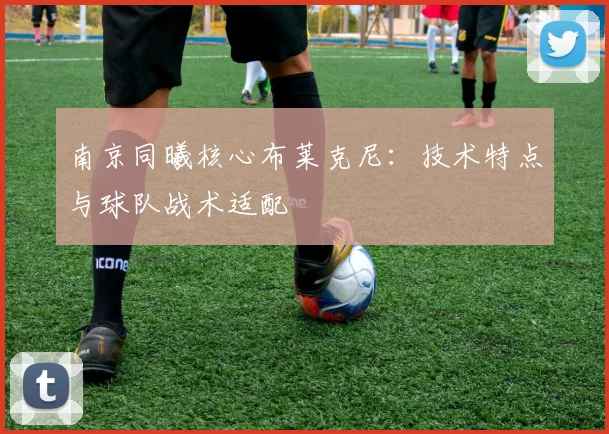 南京同曦核心布莱克尼：技术特点与球队战术适配
